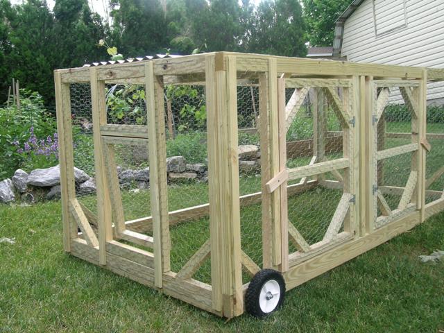 chicken tractor and chicken information