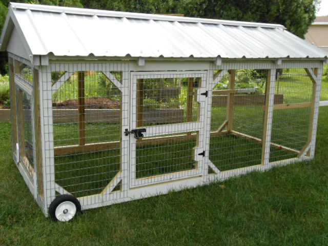 chicken tractor and chicken information